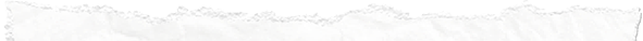 20260813113053108